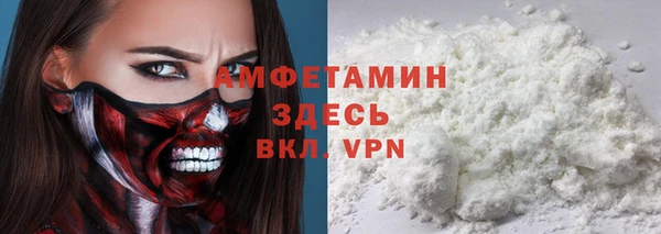 крисы Алексин