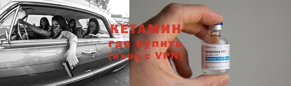 крисы Алексин