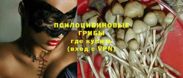 2c-b Алзамай