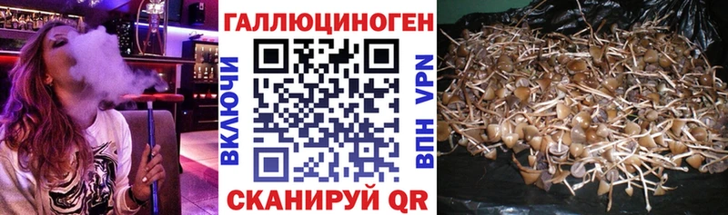 Галлюциногенные грибы MAGIC MUSHROOMS Чадан