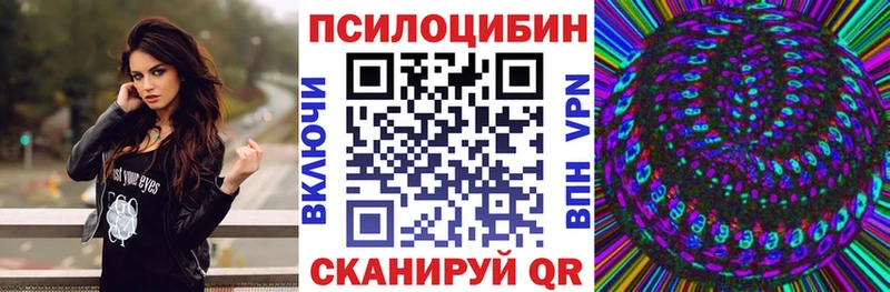 купить наркотик  Чадан  Галлюциногенные грибы GOLDEN TEACHER 